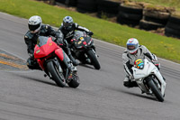 PJ-Motorsport-2019;anglesey-no-limits-trackday;anglesey-photographs;anglesey-trackday-photographs;enduro-digital-images;event-digital-images;eventdigitalimages;no-limits-trackdays;peter-wileman-photography;racing-digital-images;trac-mon;trackday-digital-images;trackday-photos;ty-croes